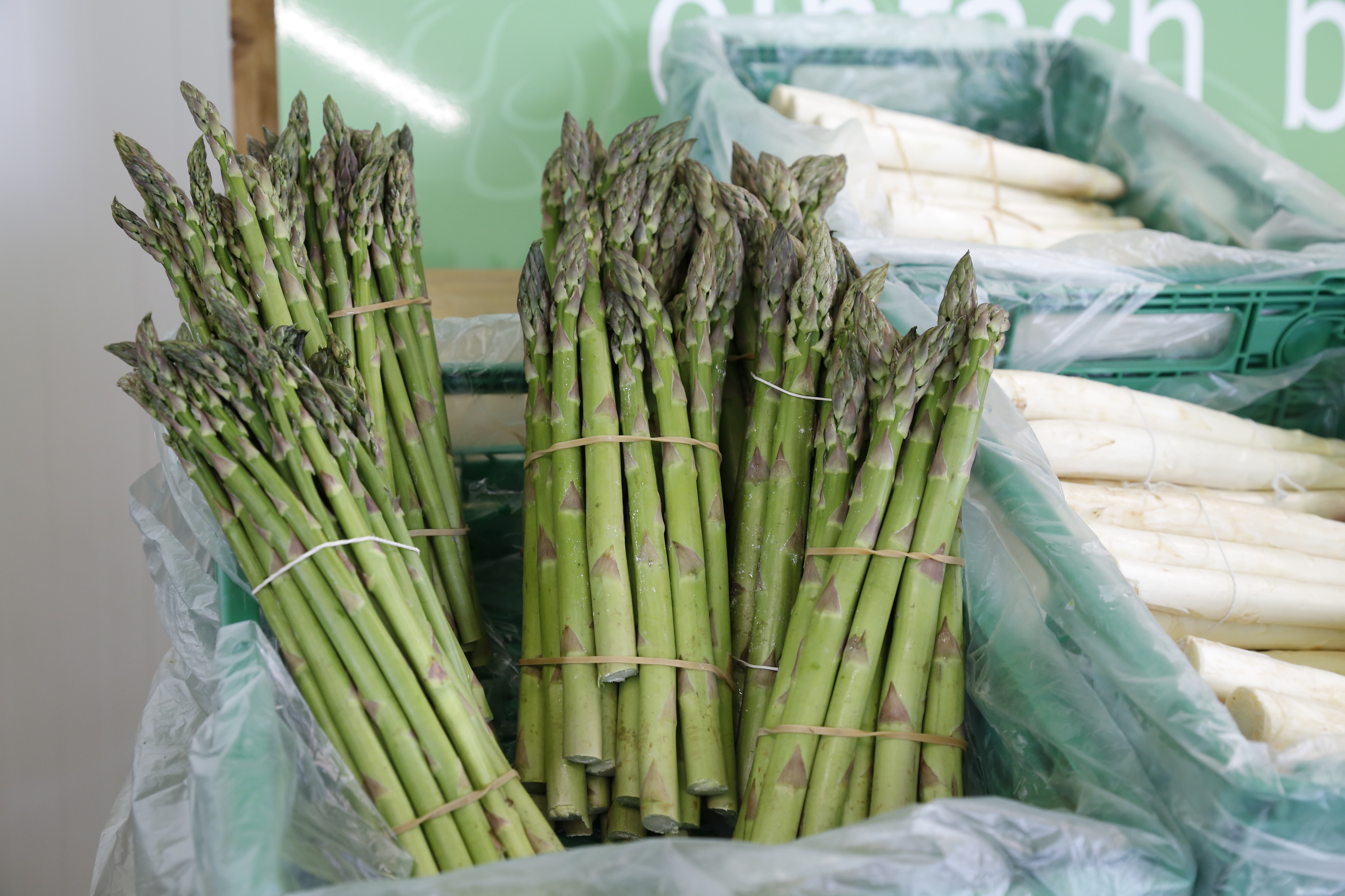 Spargel Ji 063