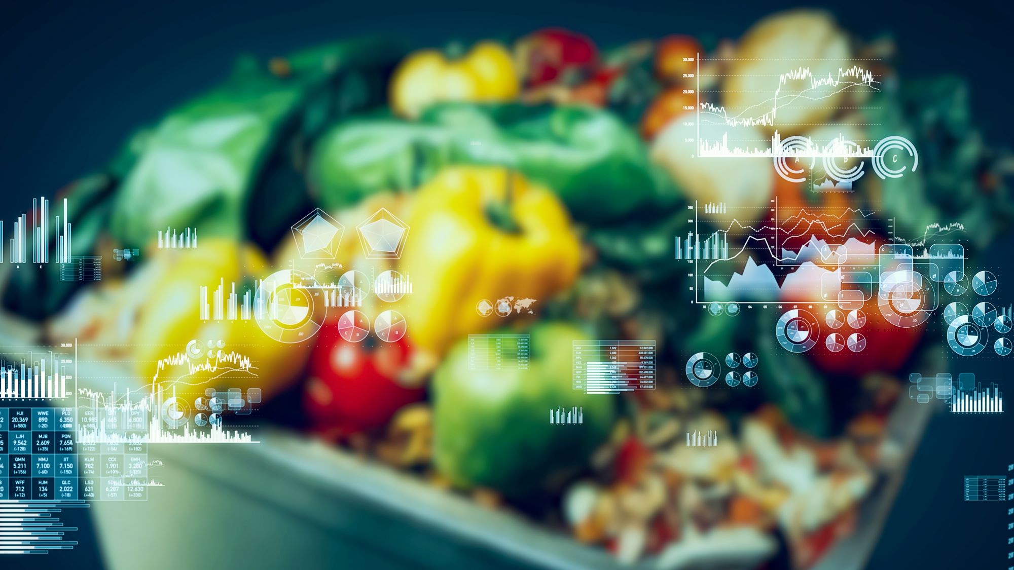 Food Waste 2